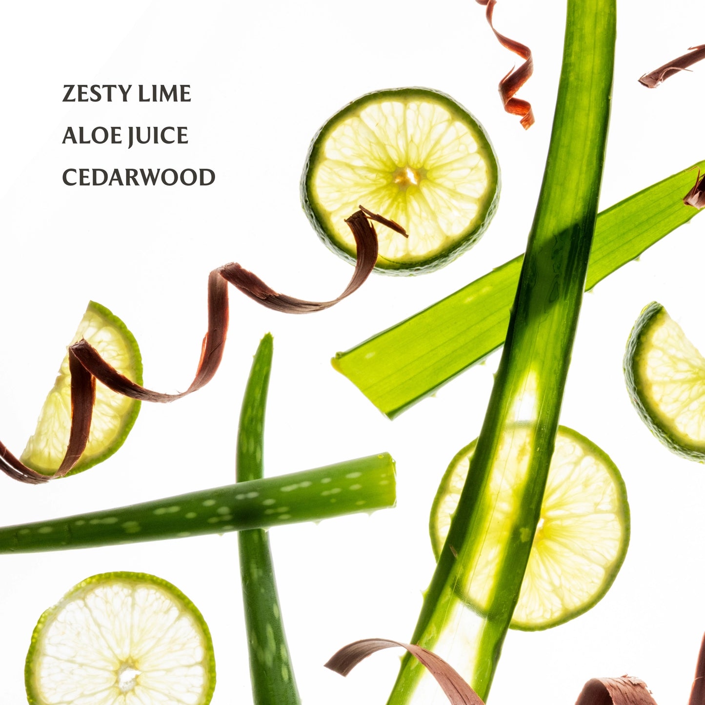 Touchland Aloe You Power Mist Hand Sanitizer