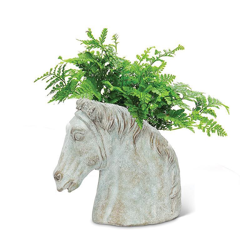 horse head planter with ferns