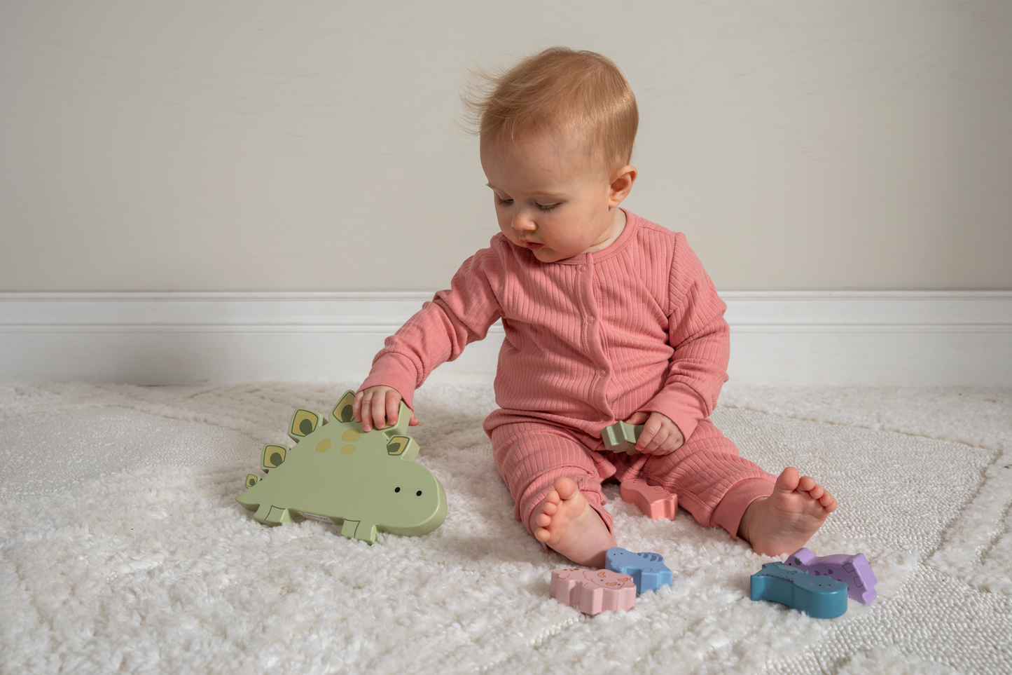 LittleWood Dinosaur Blocks
