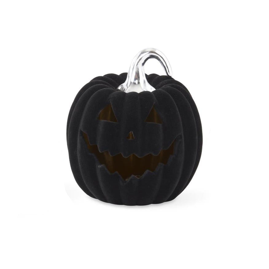 Black Velvet Jack-O-Lantern with Timer