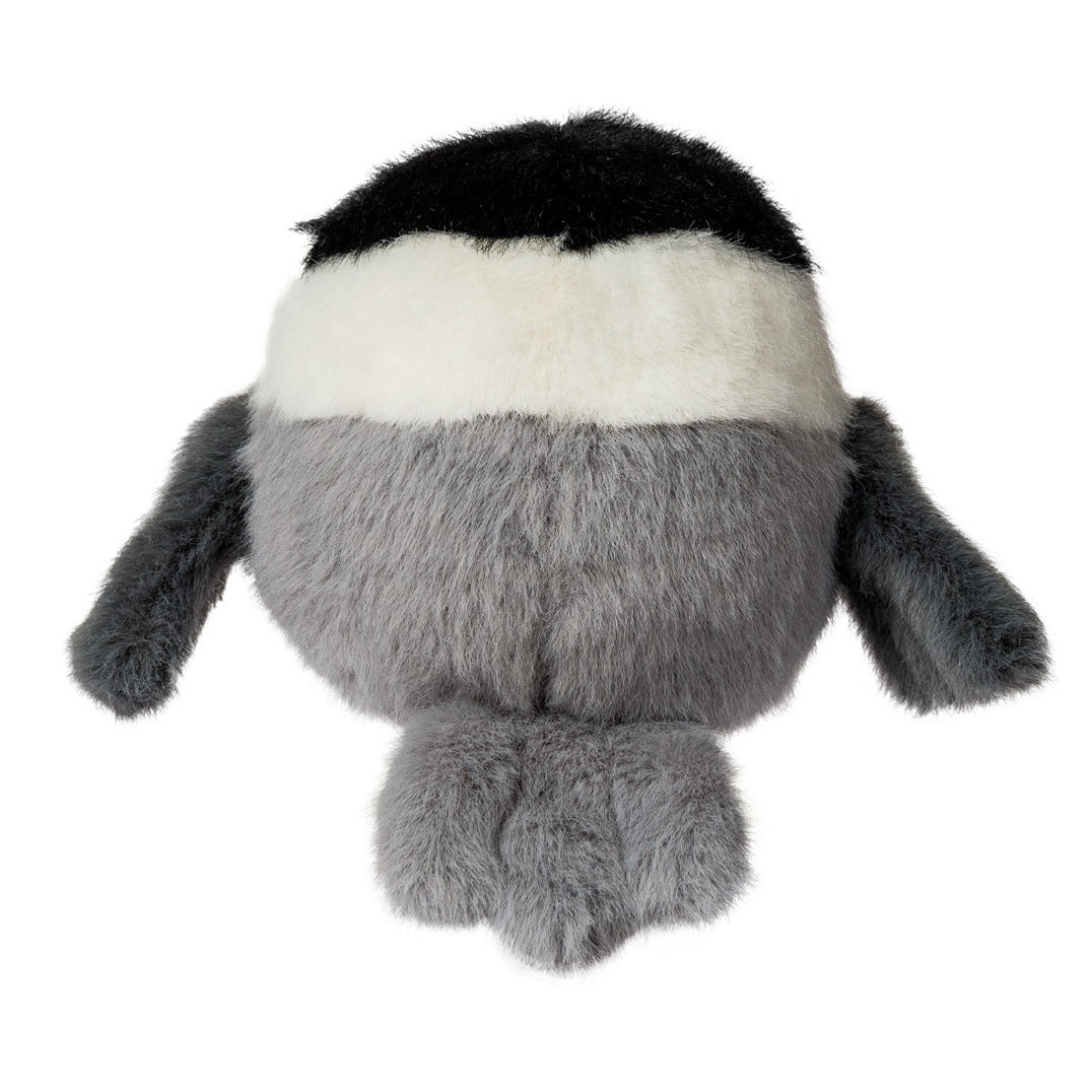 Rolly Chickadee