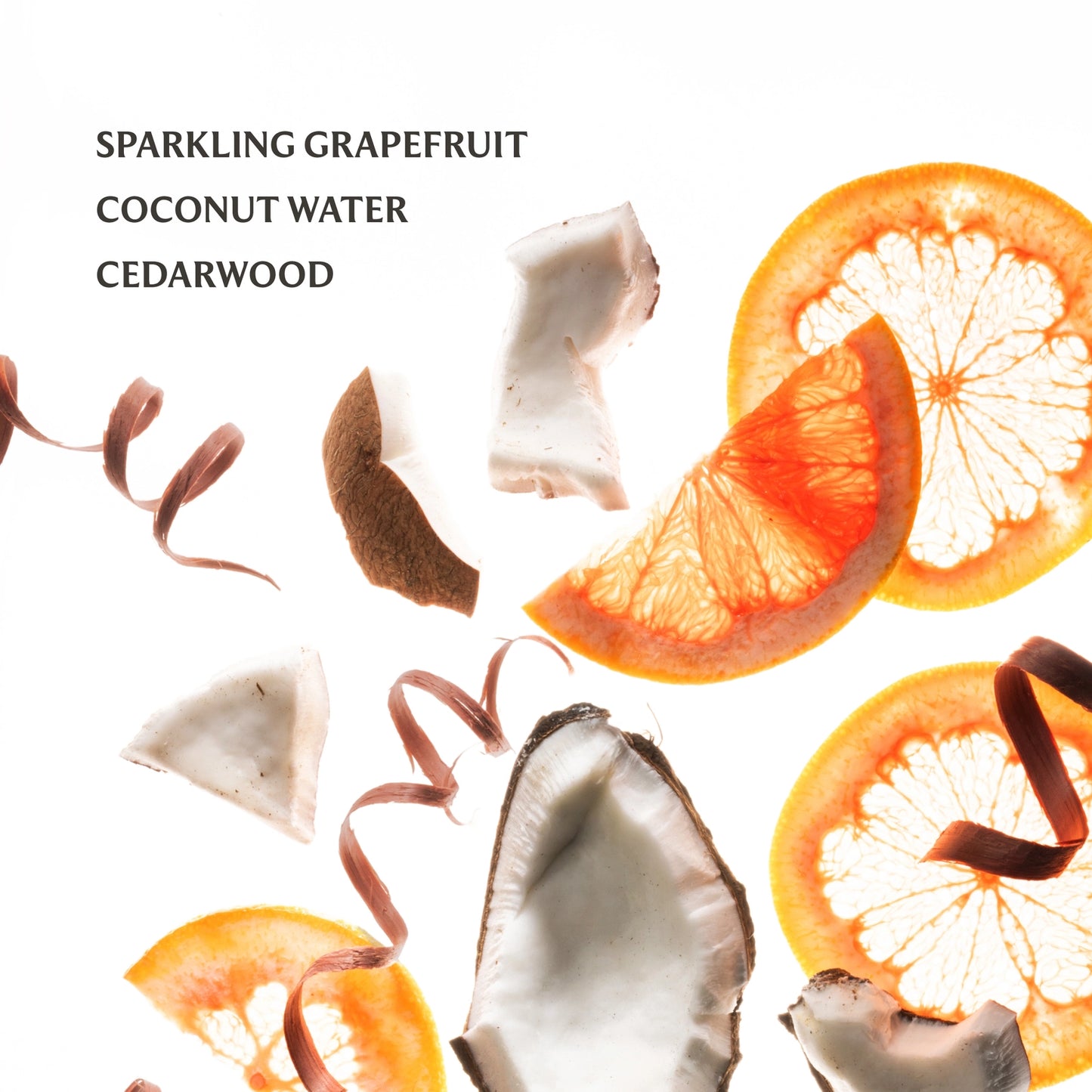 Touchland Beach Coco Power Mist Hand Sanitizer