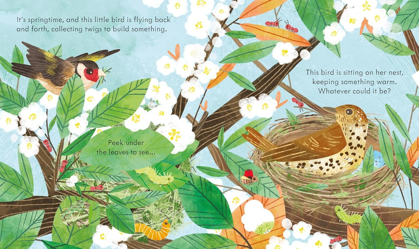 Usborne Peek Inside a Bird's Nest
