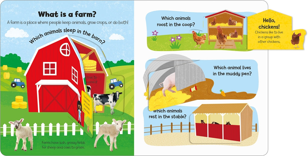 Little Kids Big Questions: Farm Animals
