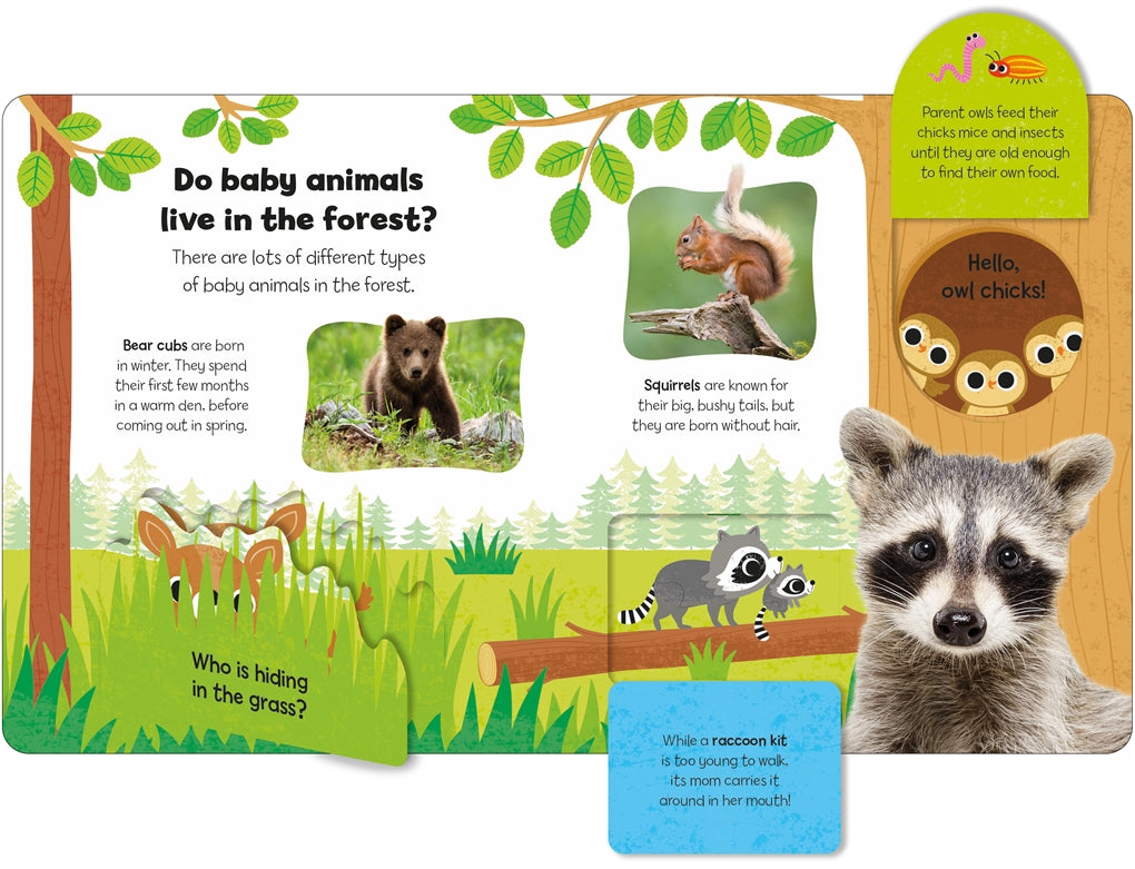 Little Kids Big Questions: Baby Animals