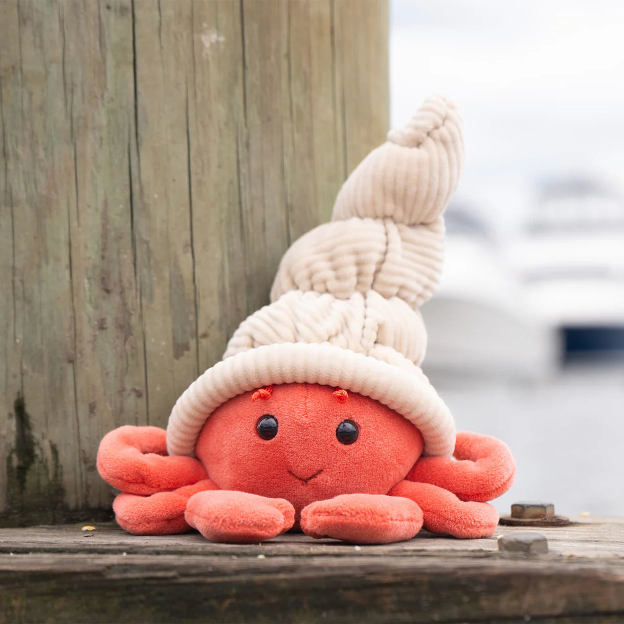 Bukowski Bears Hermit the Crab