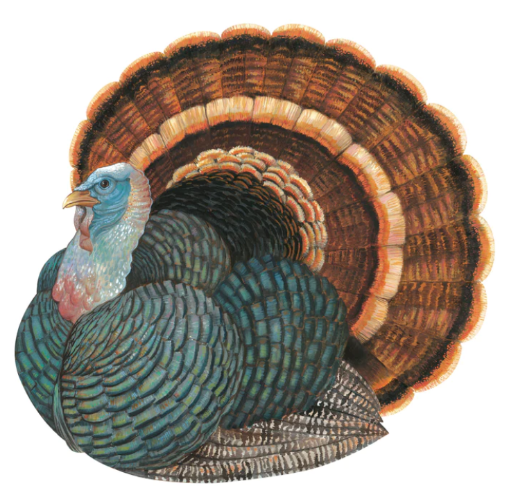 Hester & Cook Die-Cut Heritage Turkey Placemat SALE