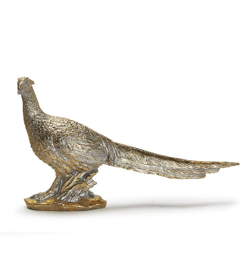 Golden Pheasant 2