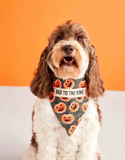 Mudpie Feast Mode Reversible Holiday Dog Bandana