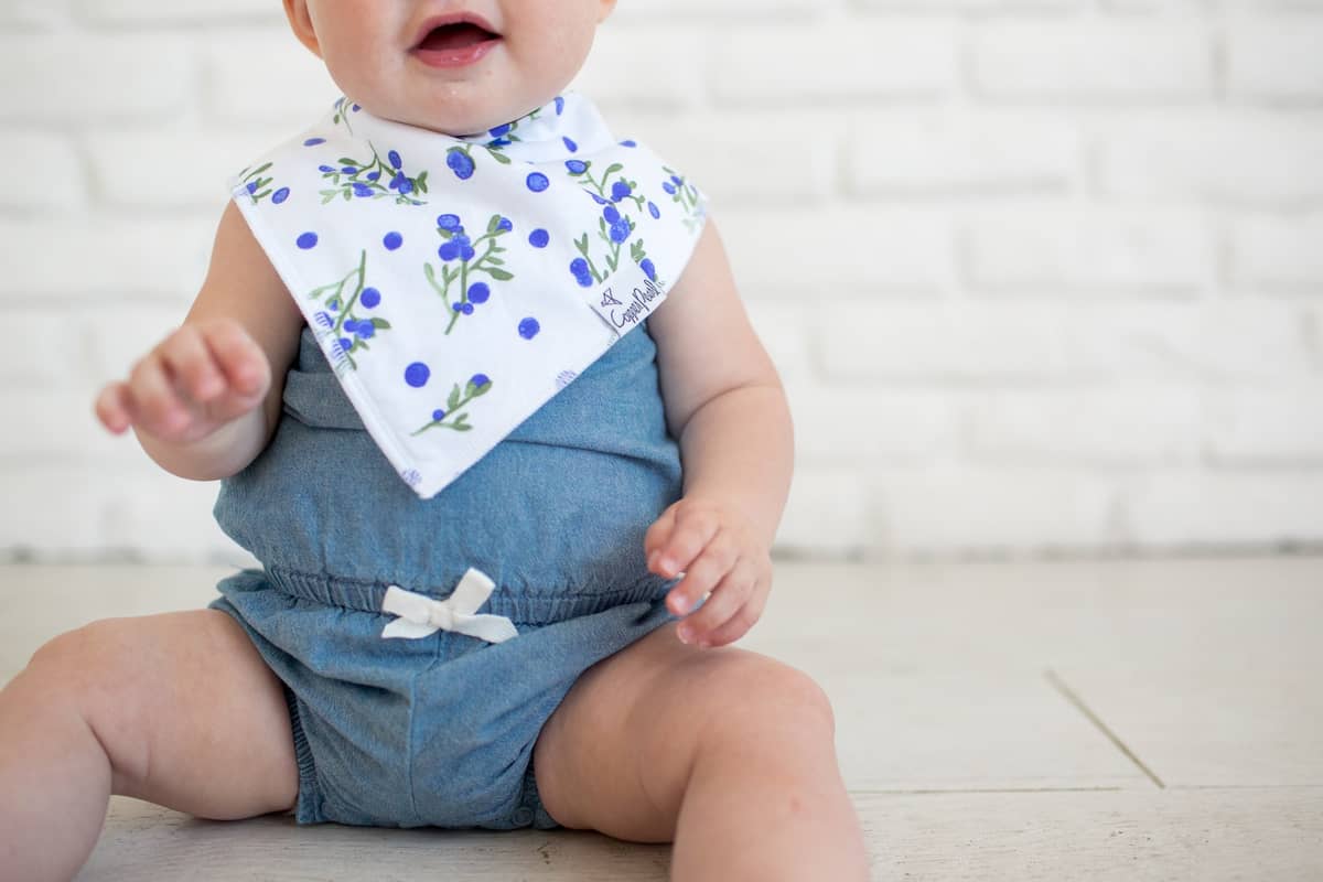 Copper Pearl Georgia Bandana Bib Set