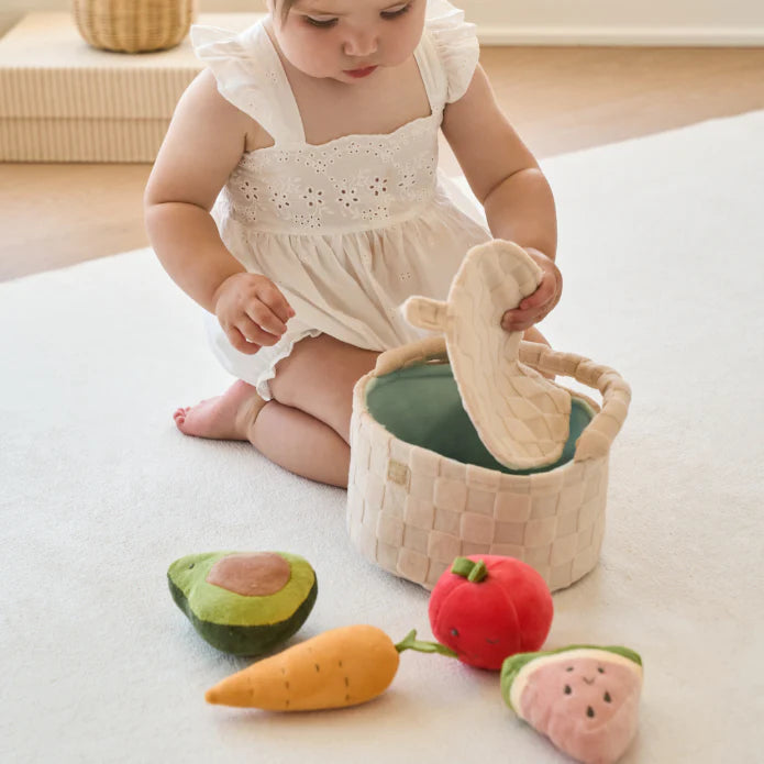 Elegant Baby Picnic Basket set