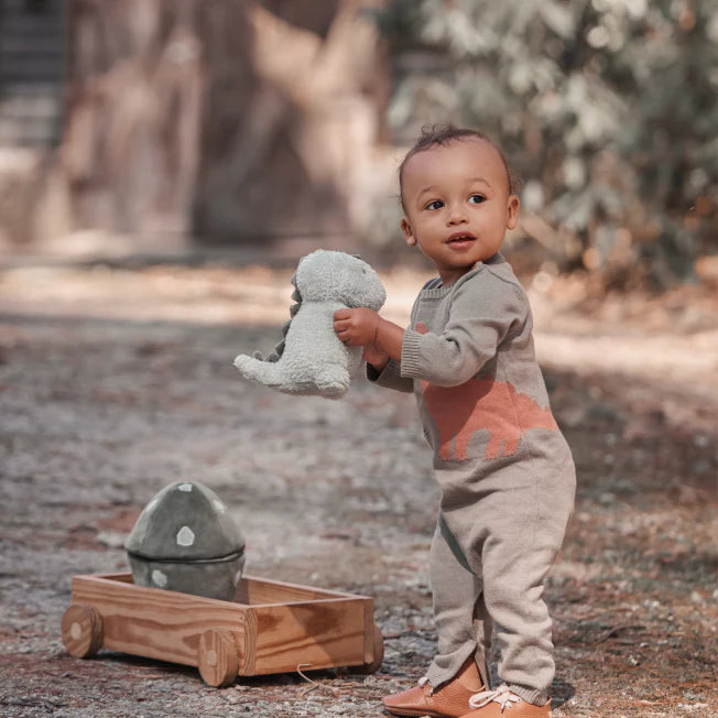 Elegant Baby Dinosaur & Egg Plush Toy