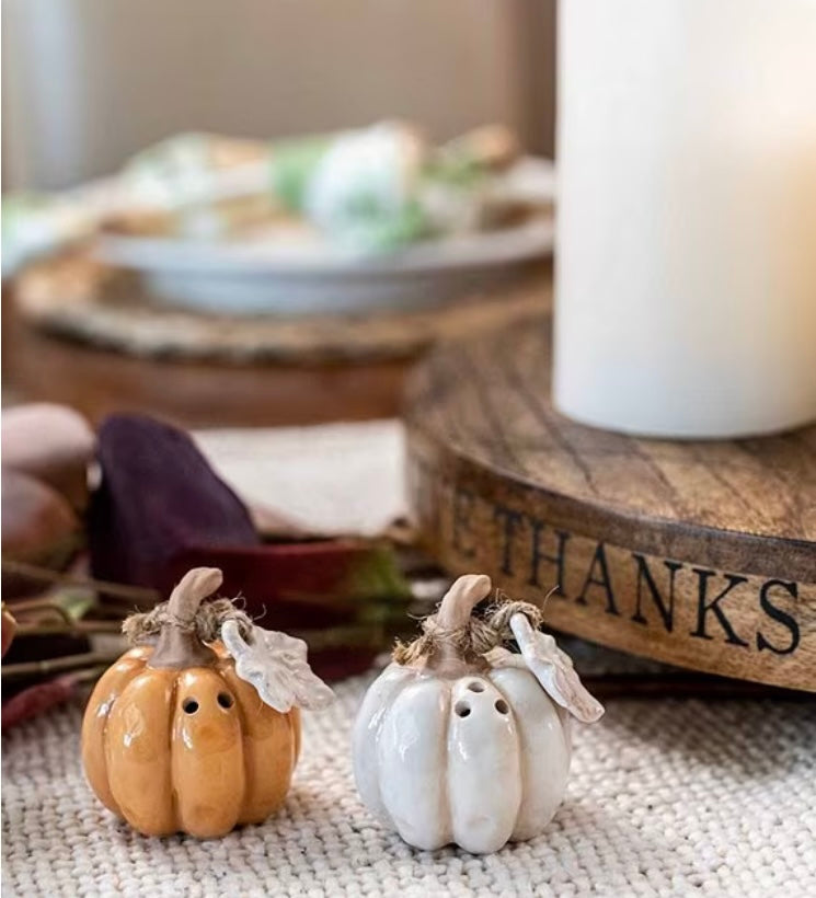 Mudpie Gather Pumpkin Salt and Pepper Set SALE
