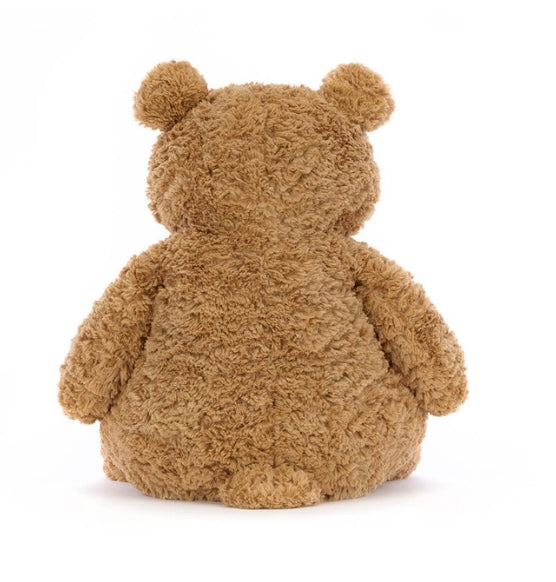 Back view of a brown teddy bear on a white background