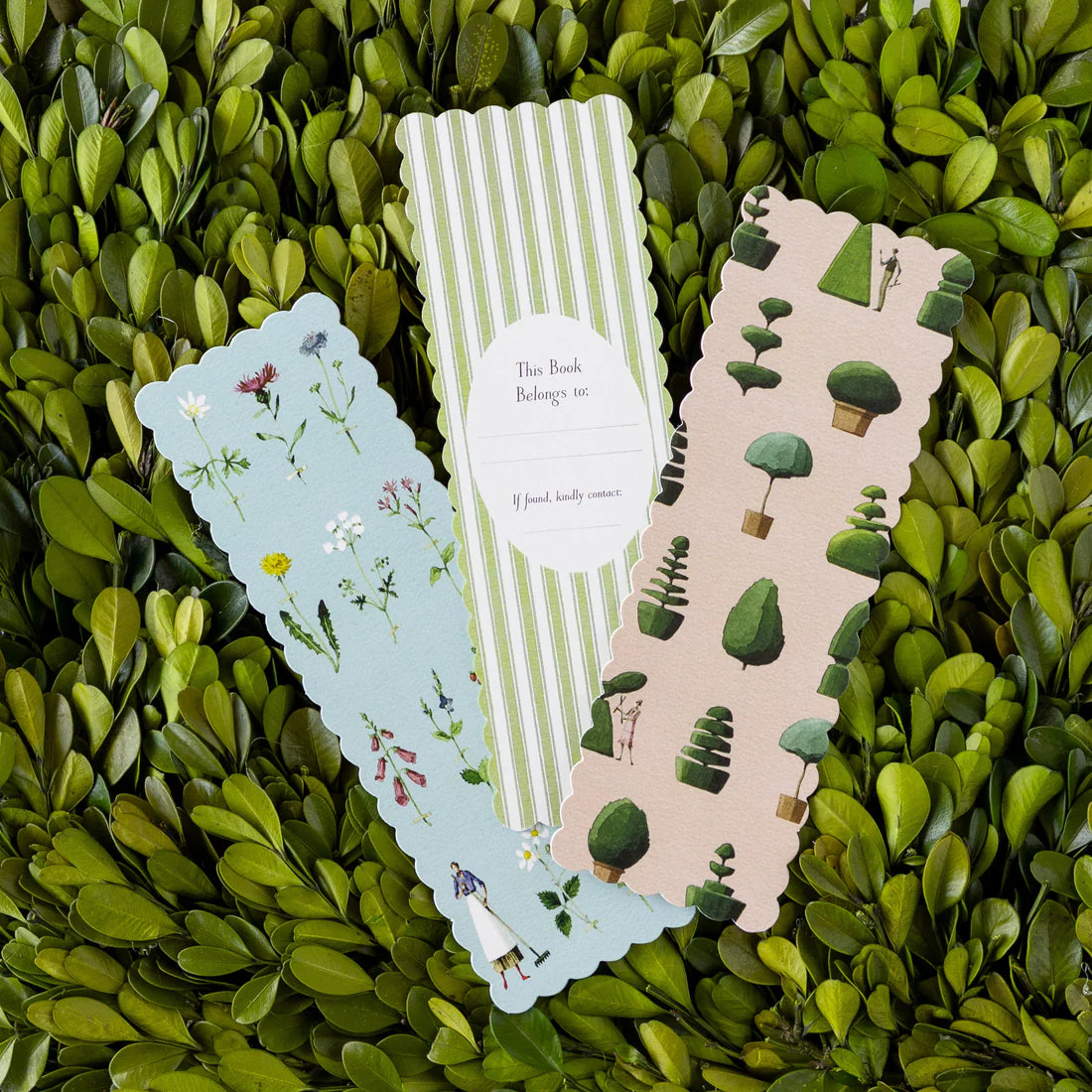 Hester & Cook In the Garden Bookmarks Set of 3