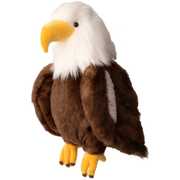 Bukowski Bears Scout the Eagle