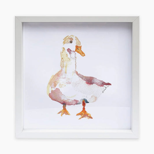 Anne Neilson Duck Framed Print