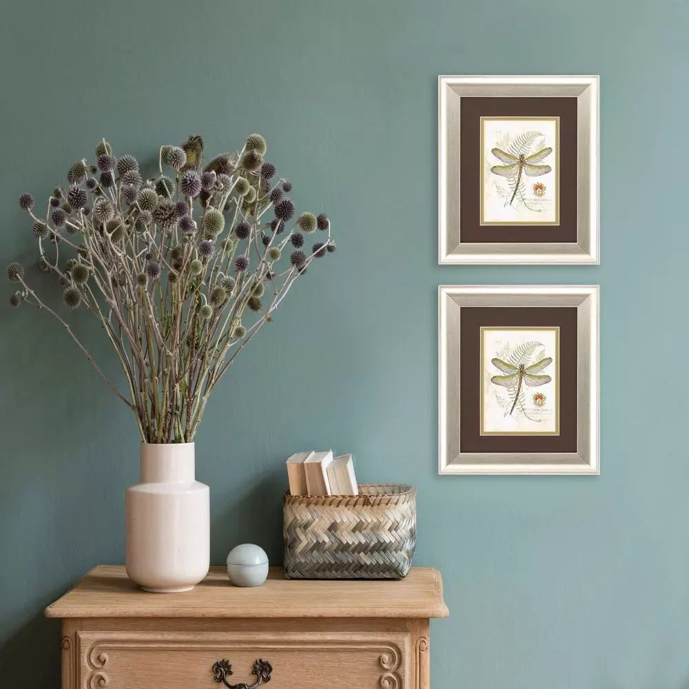 Dragonfly-2 Framed Print by Paragon