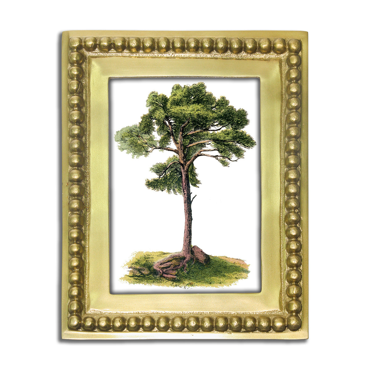 Gilded Beaded Picture Frame