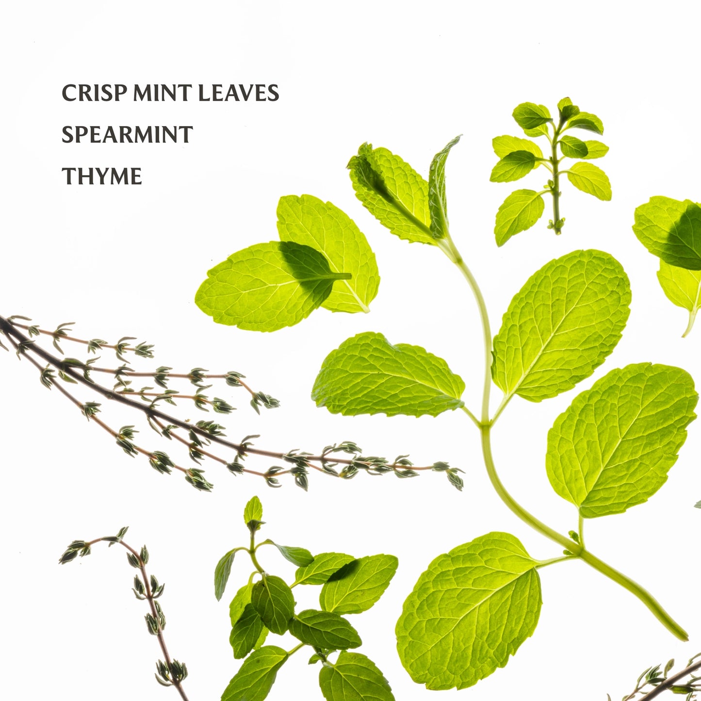 Touchland Frosted Mint Power Mist Hand Sanitizer