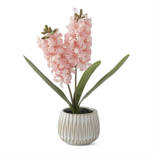 Pink Hyacinth in White Ceramic Pot w/Faux Dirt