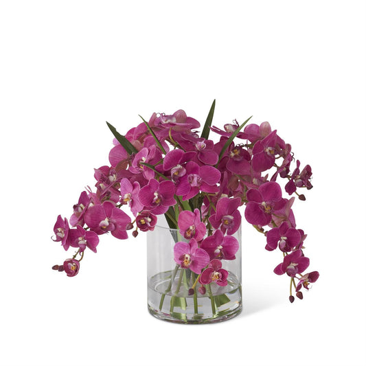 Fuchsia Orchid in Glass Vase