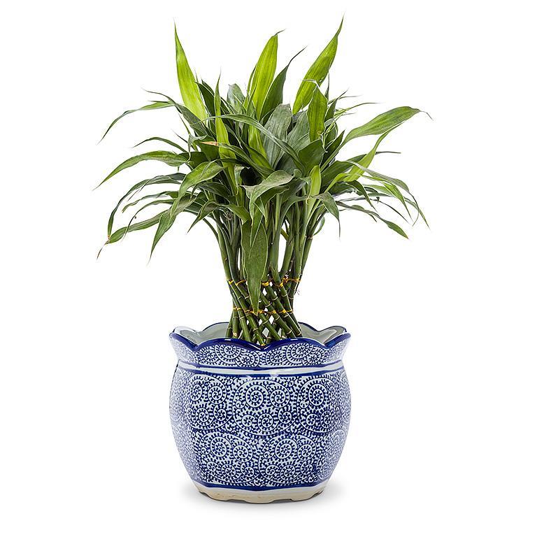Blue & White Scallop Edge Planter