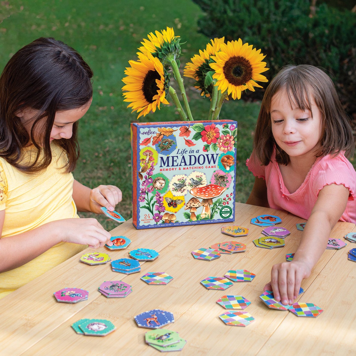 Life In A Meadow Matching Game