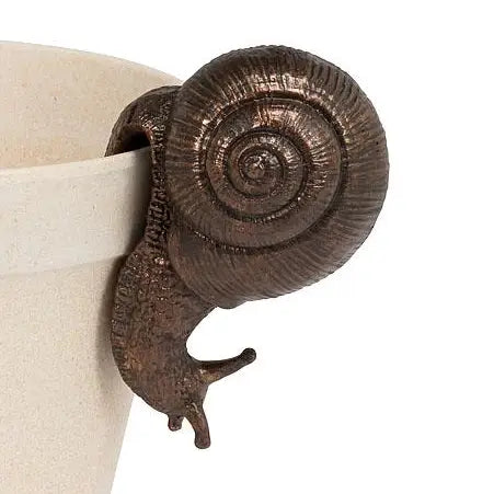 Hanging Snail Bronze