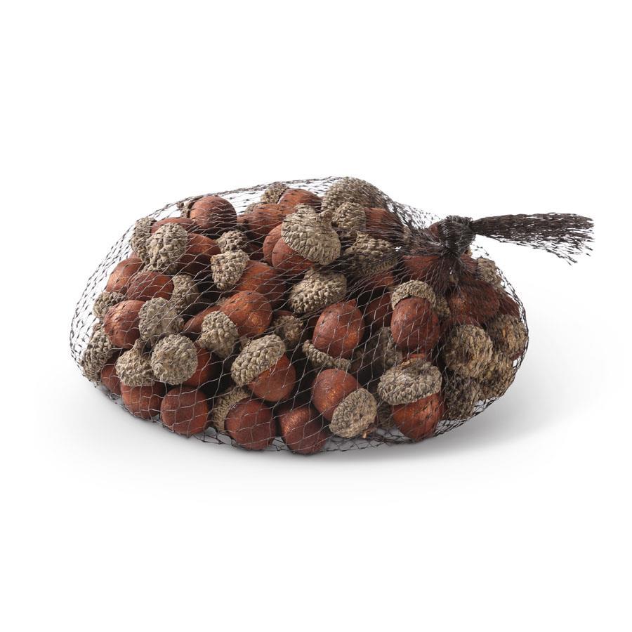 A mesh bag filled with brown acorns and showing their tan caps