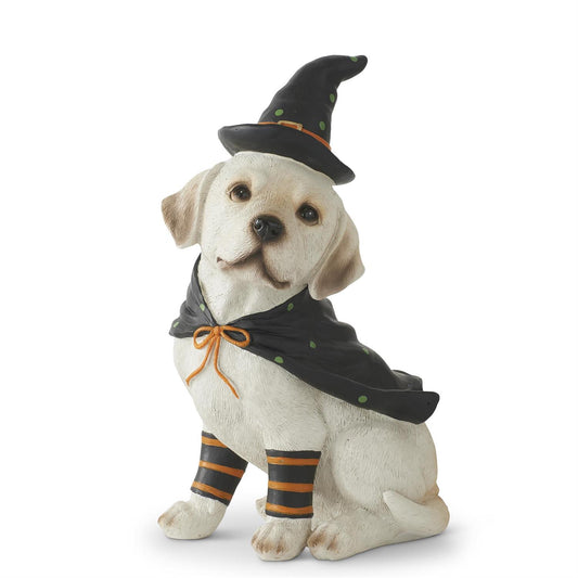 Dog with Witch Hat and Cape