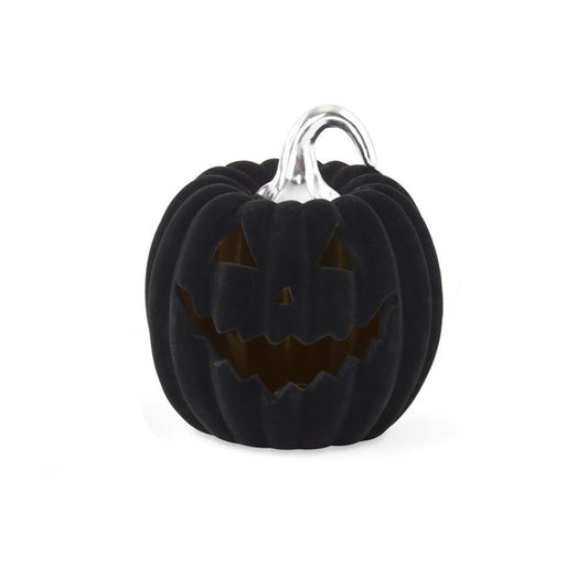 Black Velvet Jack-O-Lantern with Timer