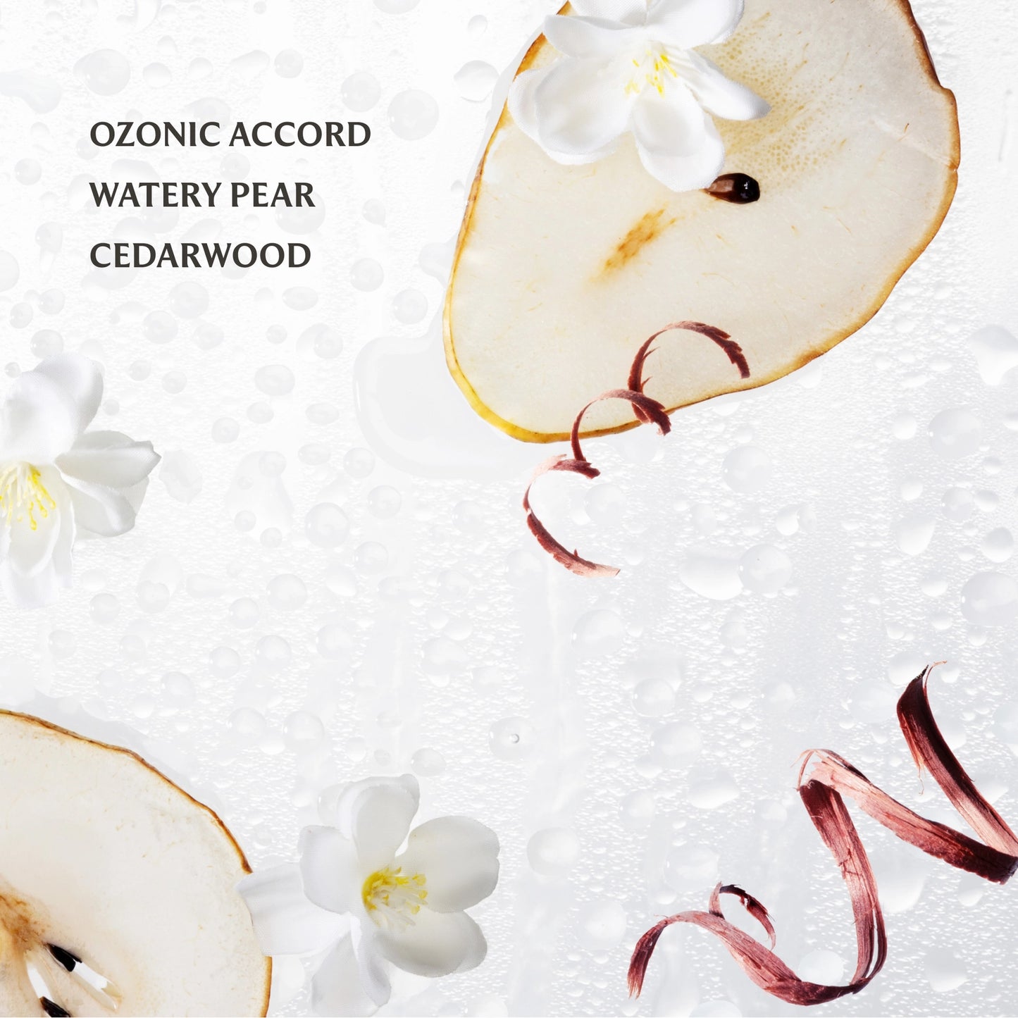 Touchland Rainwater Power Mist Hand Sanitizer