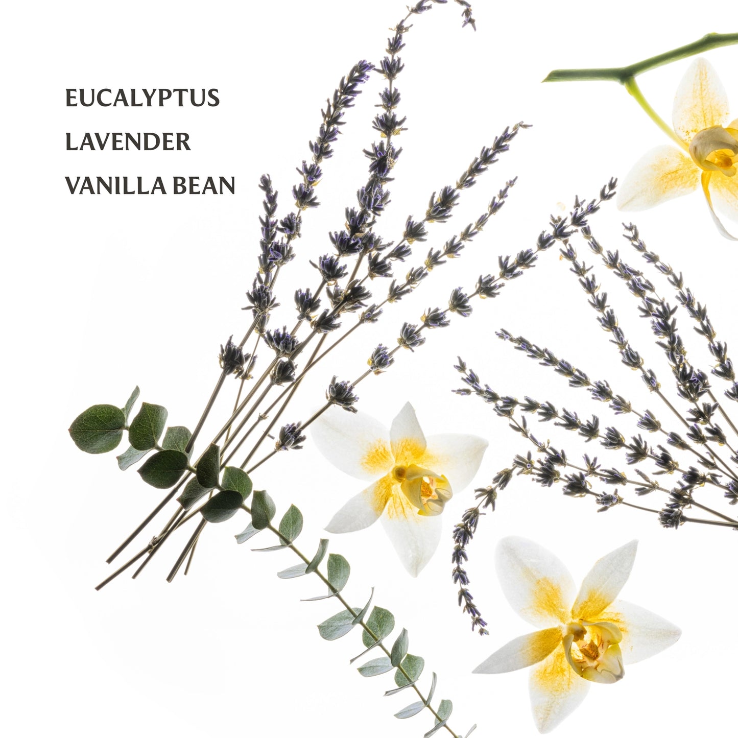 Touchland Pure Lavender Power Mist Hand Sanitizer