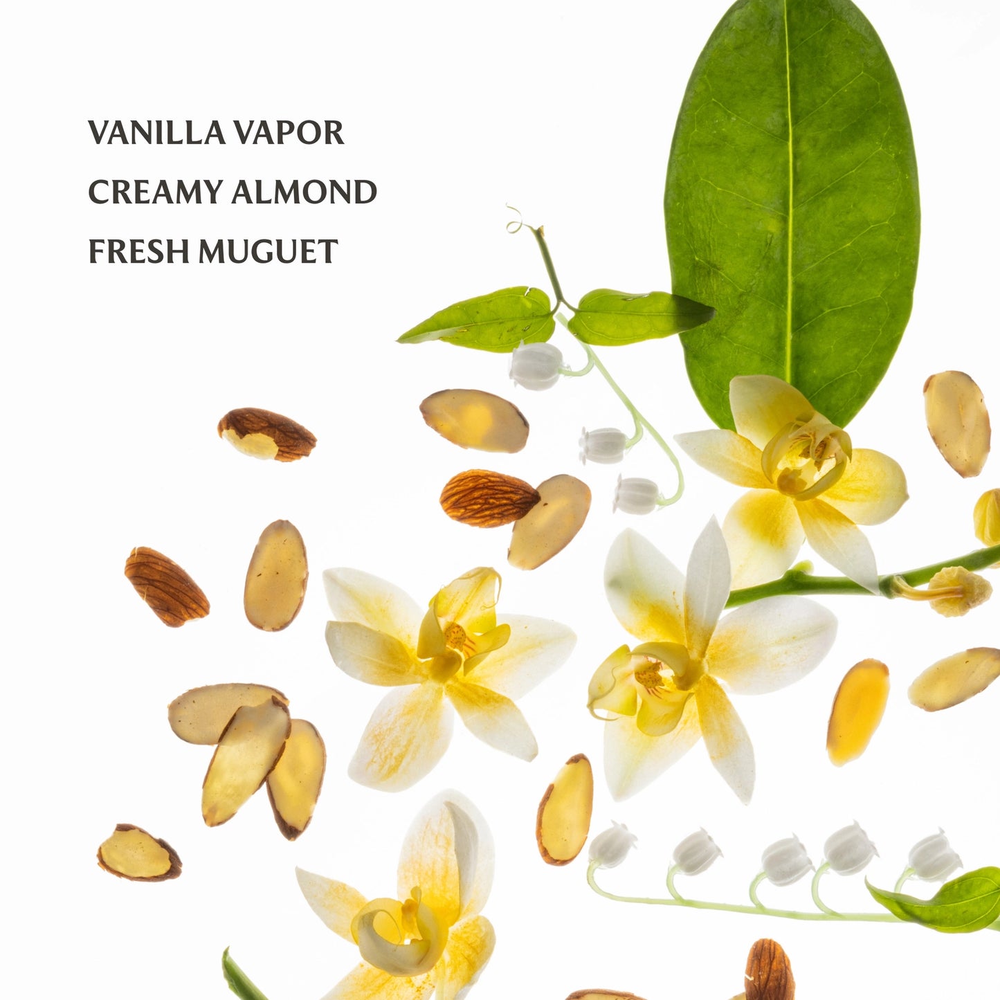 Touchland Vanilla Velvet Power Essence Body & Hair Fragrance Mist