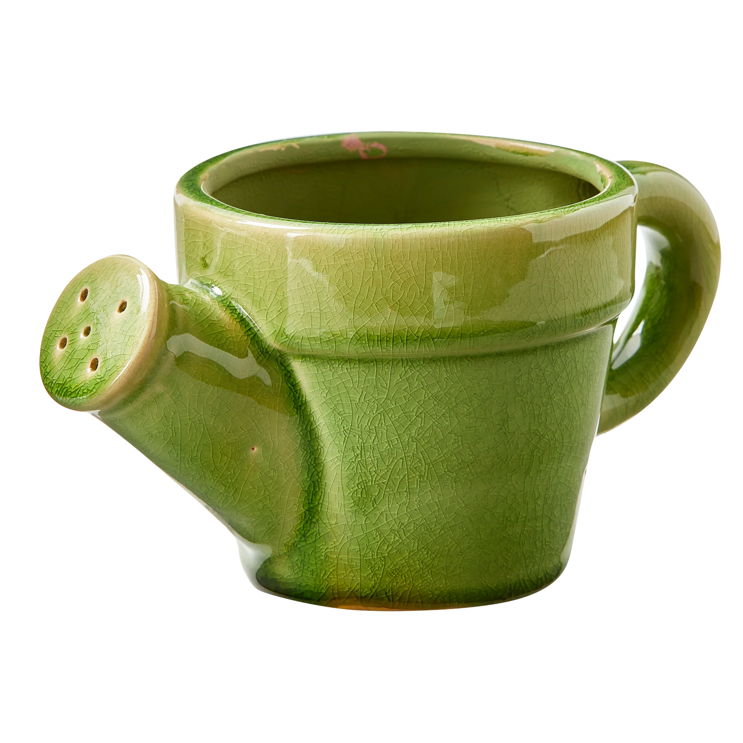 Watering Can Planter Green