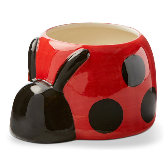 Ladybug Planter
