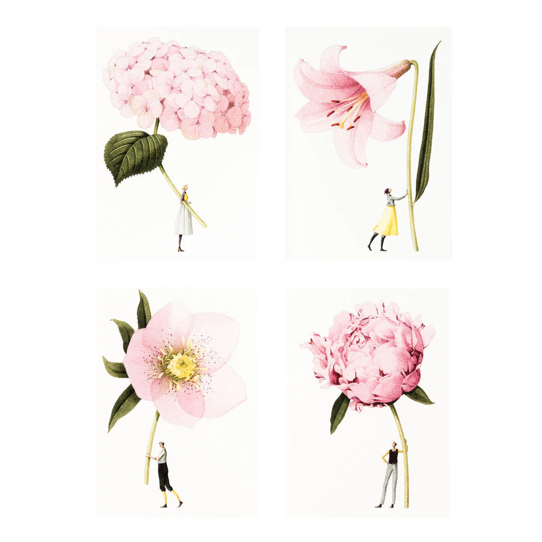 Illustration of Hester & Cook In Bloom Notecard Boxed Set images with small figures standing next to large pink flowers on a white background