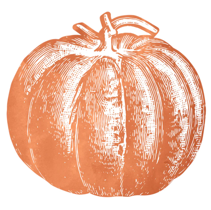 Hester & Cook Die-Cut Pumpkin Placemat SALE