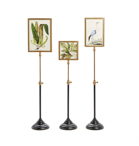 Lg Photo Frame w/Telescoping Pole LARGE 5x7