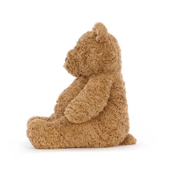 Fluffy brown teddy bear sitting on a white background