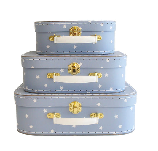 Alimrose Blue Star Carry Case SMALL