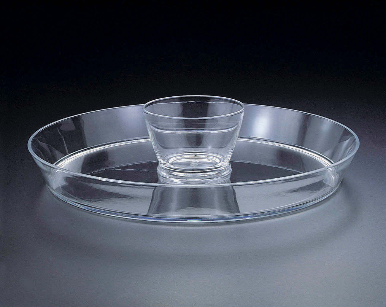 Acrylic Chip and Dip Tray
