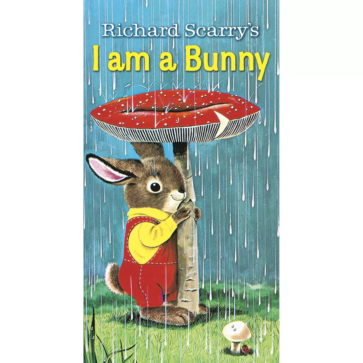I'm A Bunny Board Book