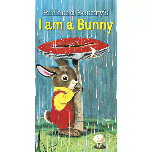 I'm A Bunny Board Book