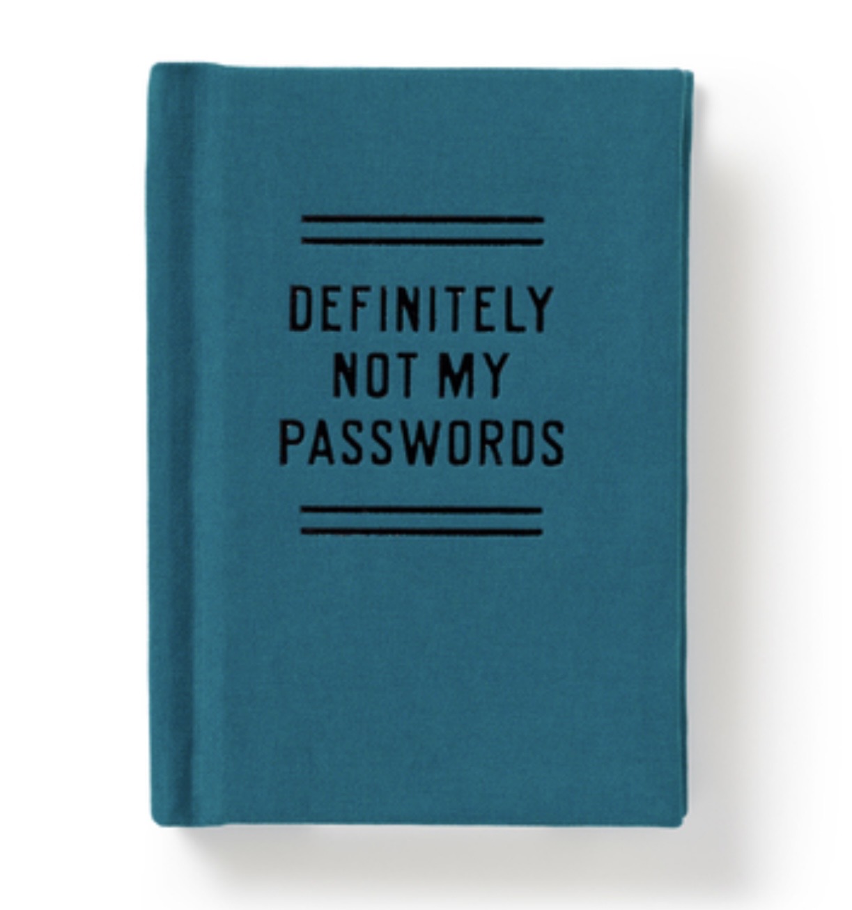 Blue notebook with 'DEFINITELY NOT MY PASSWORDS' text  
