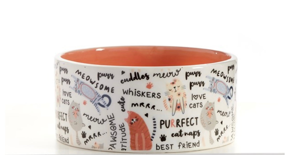 Ceramic Cat Bowl
