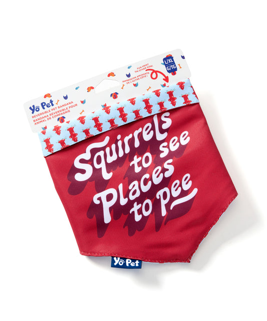 Squirrels to See Places to Pee Pet Bandana
