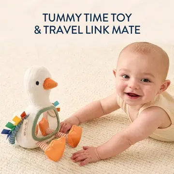 Itzy Ritzy Bitzy Goose Sensory Tummy Time Mirror