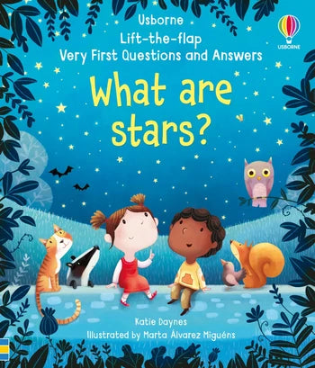 Usborne lift the flap very first questions and answers what are the stars book with a blue cover with kids and animals looking up at the stars